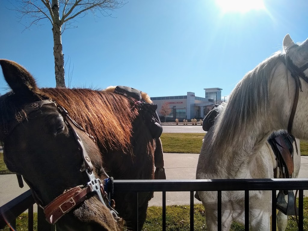 Crossing at Stonegate | 17031 Lincoln Ave, Parker, CO 80134, USA | Phone: (833) 800-4343