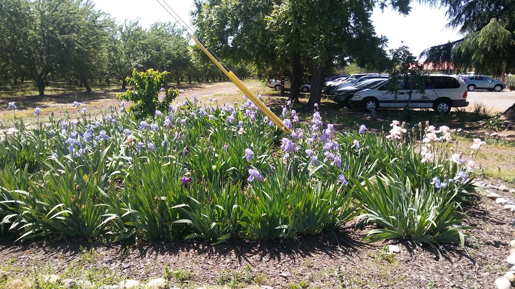Unitarian Universalist Fellowship of Stanislaus County | 2172 Kiernan Ave, Modesto, CA 95356, USA | Phone: (209) 545-1837