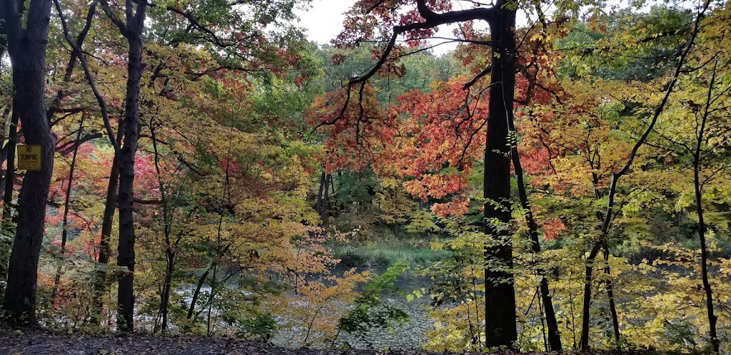 Historic Vale Cemetery | 907 State St, Schenectady, NY 12307, USA | Phone: (518) 346-0423