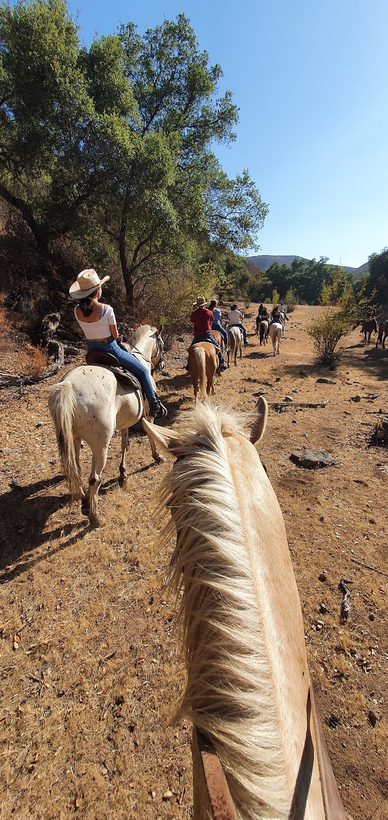 Rancho La Bellota | 22758 Ensenada, B.C., Mexico | Phone: 646 127 4145