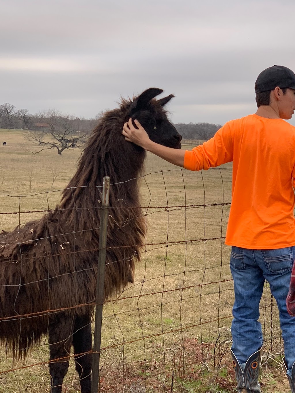 Ranch Oaks Mobile Home Park | 3308 FM2280 #32, Cleburne, TX 76031, USA | Phone: (682) 226-6681