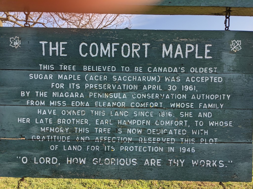 Comfort Maple Conservation Area | 636 Metler Rd, Fenwick, ON L0S 1C0, Canada | Phone: (905) 788-3135 ext. 0