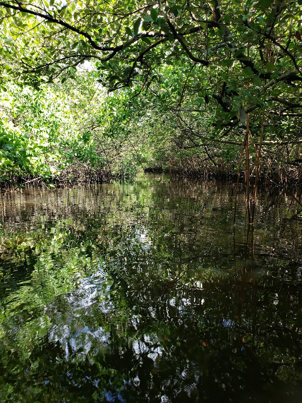 Terra Ceia Preserve State Park | 8054 Bishop Harbor Rd, Palmetto, FL 34221, USA | Phone: (941) 723-4536