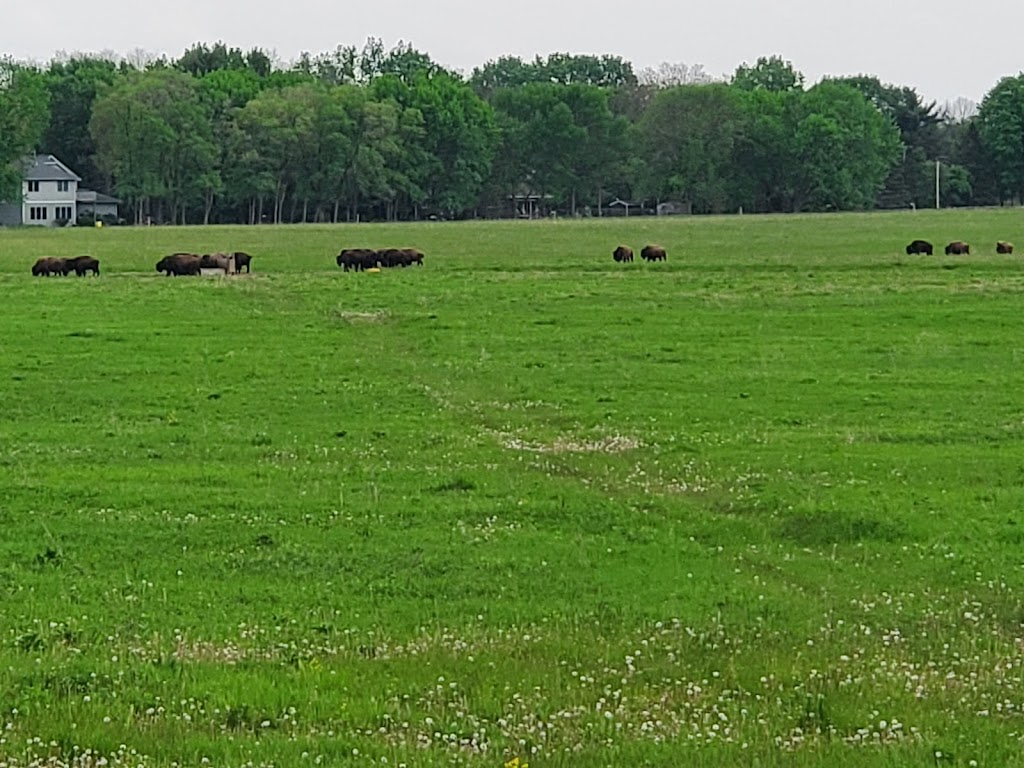 Belwin Conservancy: Bison Observation Platform | 15551 Division St, Afton, MN 55001 | Phone: (651) 436-5189