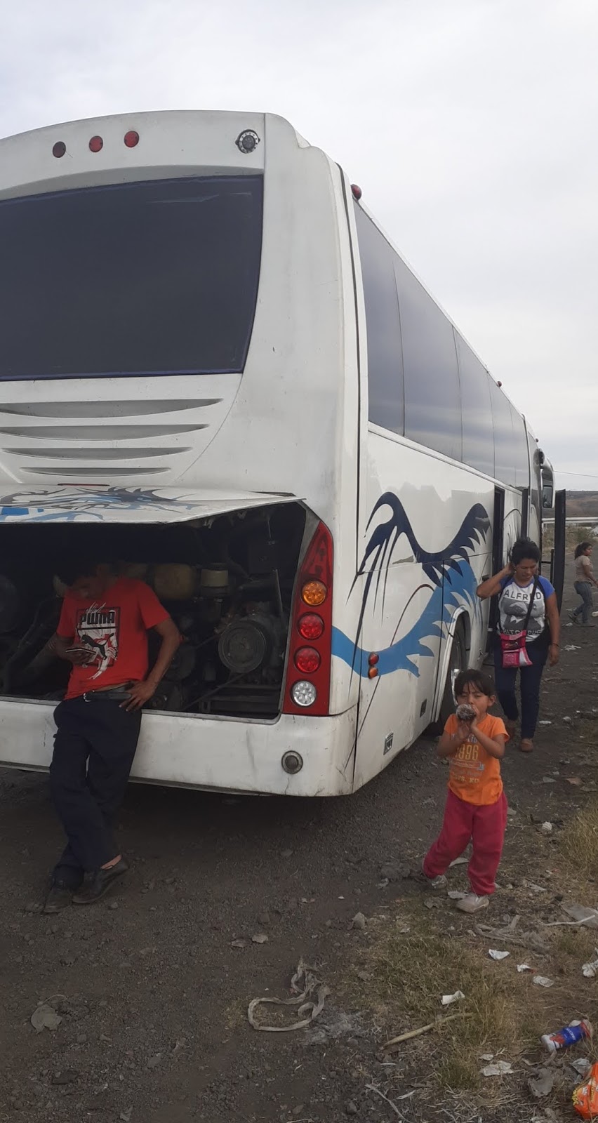 Interbus de Sinaloa Tecate | 21490, Blvrd Universidad 501-G, Lazaro Cardenas, 21490 Tecate, B.C., Mexico | Phone: 665 122 6197