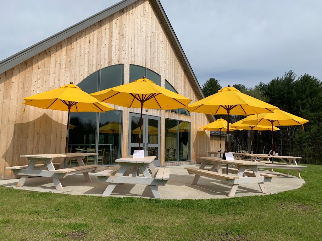 Clover Pond Vineyard | 100 Acre Wood Lane, Altamont, NY 12009, USA | Phone: (518) 356-9000