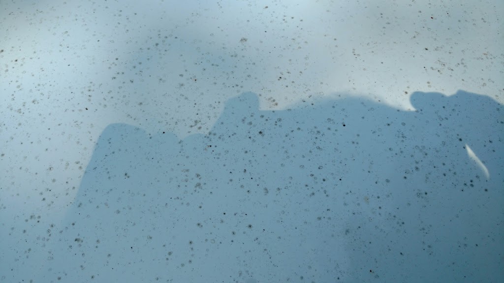 Wash n Go | 1771 N Market St, Sparta, IL 62286, USA | Phone: (618) 443-3289