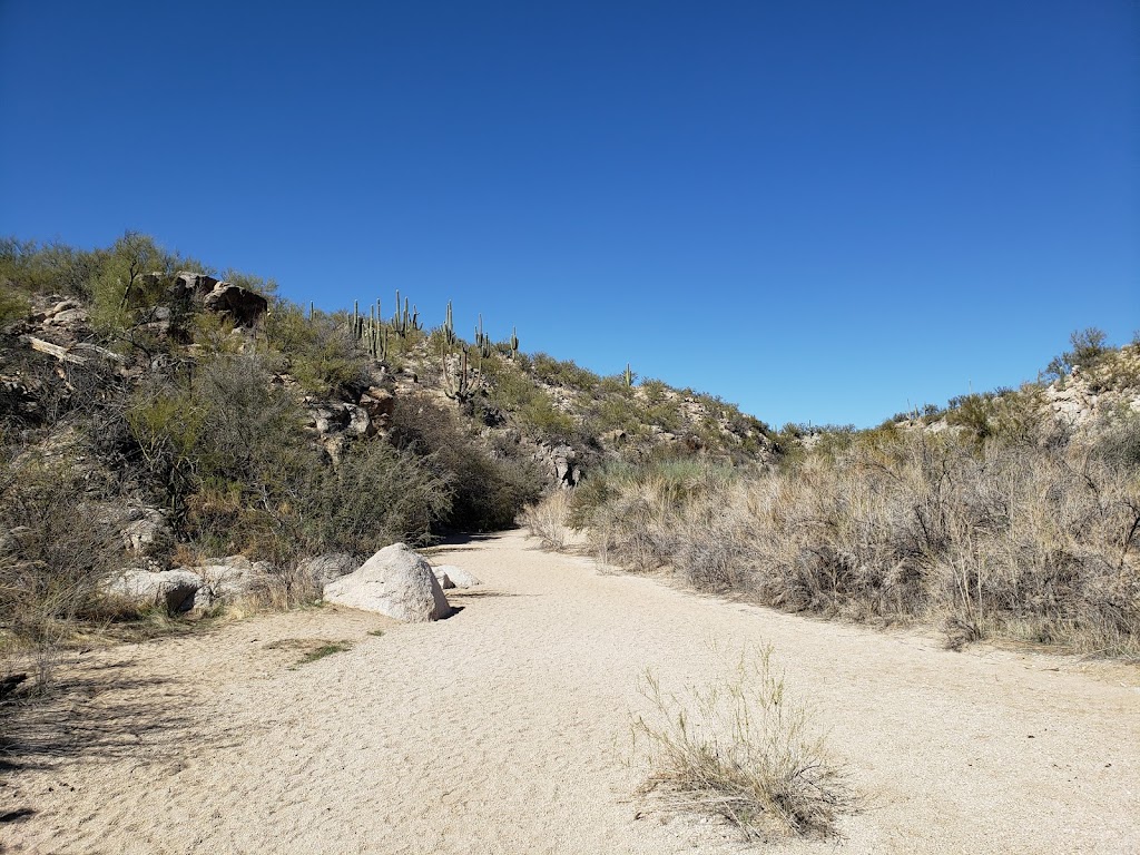 Honey Bee Canyon Park | 13880 N Rancho Vistoso Blvd, Oro Valley, AZ 85755, USA | Phone: (520) 229-5050