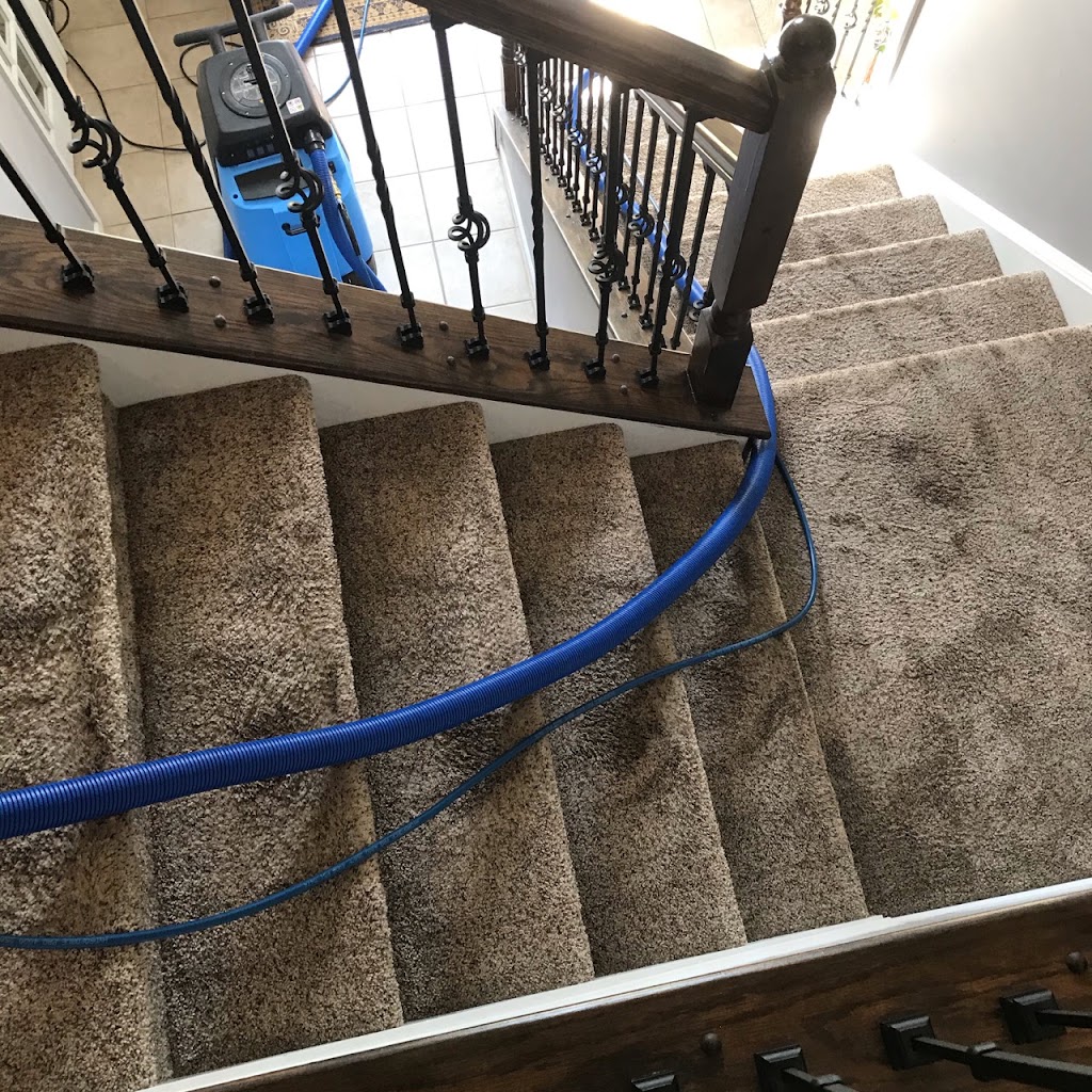 Diamond Carpet Cleaning Ohio | 2515 Old Lyme Ct, Medina, OH 44256, USA | Phone: (234) 206-1102