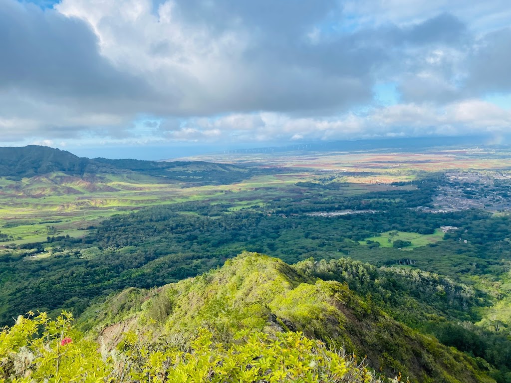 Kolekole Hike | Kolekole Dr, Wahiawa, HI 96786, USA | Phone: (808) 655-1434