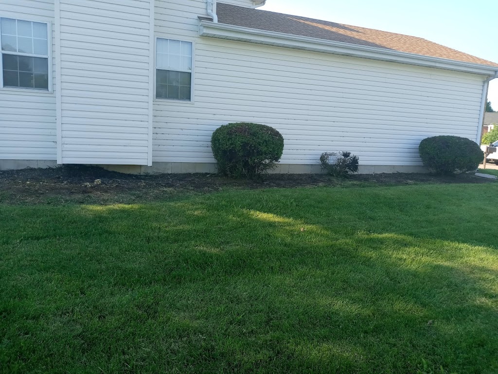 HBT Precise Lawn Care | 65 Derhake Rd, Florissant, MO 63031, USA | Phone: (314) 792-5265