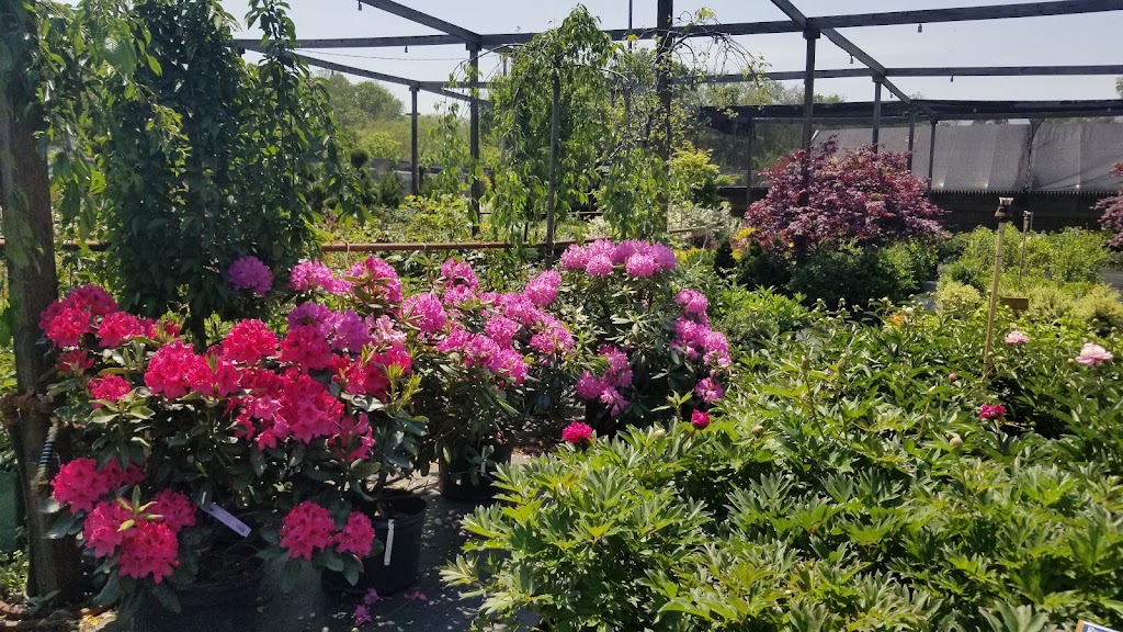 Holly Brook Farms & Garden Center | 2023 NJ-35, Wall Township, NJ 07719, USA | Phone: (732) 449-1316