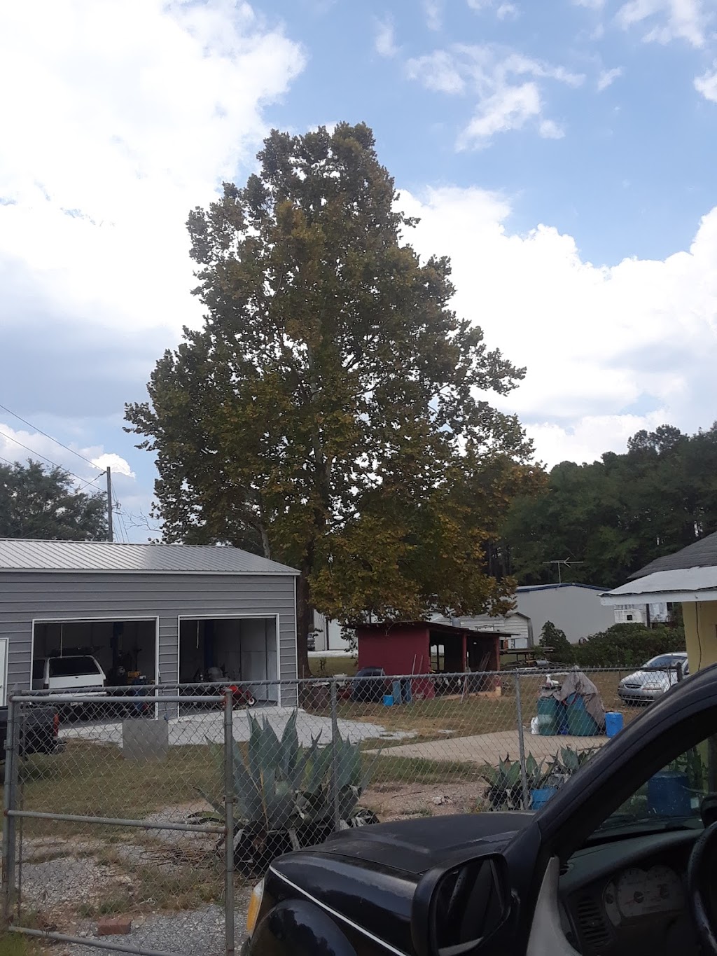 Chanceys Tree Service | 1812 21st Ct, Phenix City, AL 36869, USA | Phone: (334) 560-9230