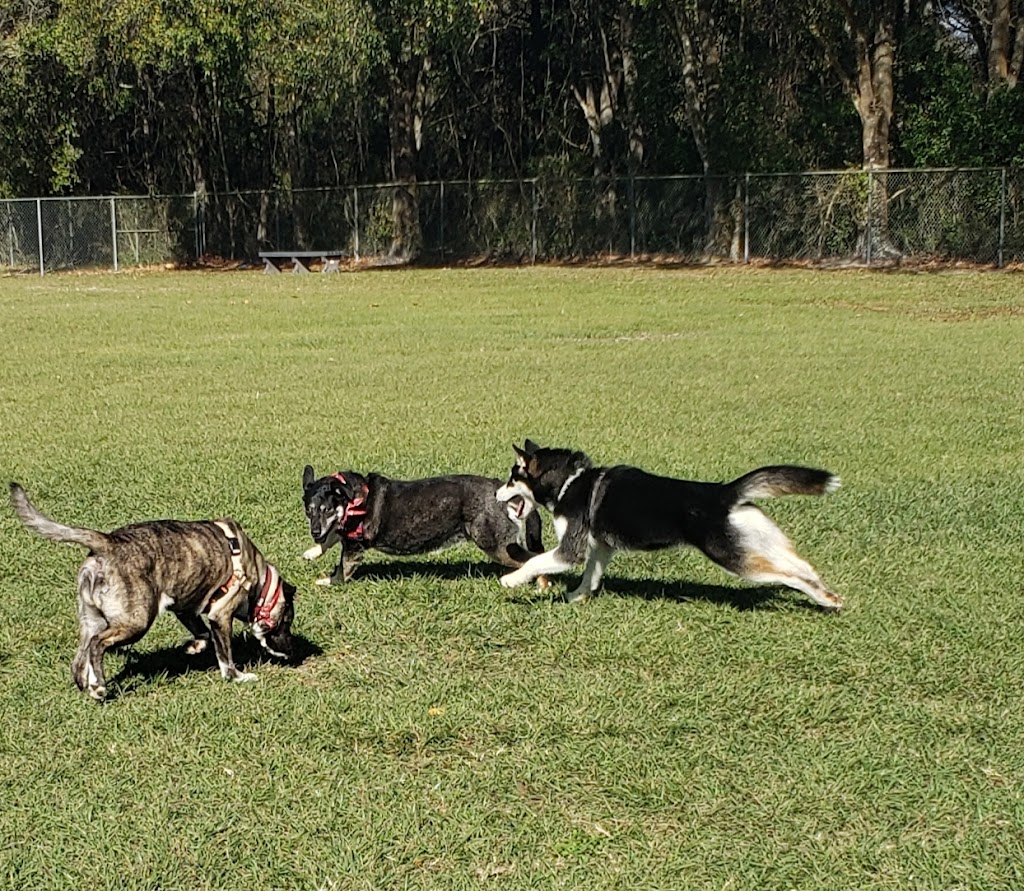 Logan Gate Dog Park | 7374 Monterey Blvd, Tampa, FL 33610, USA | Phone: (813) 744-5595