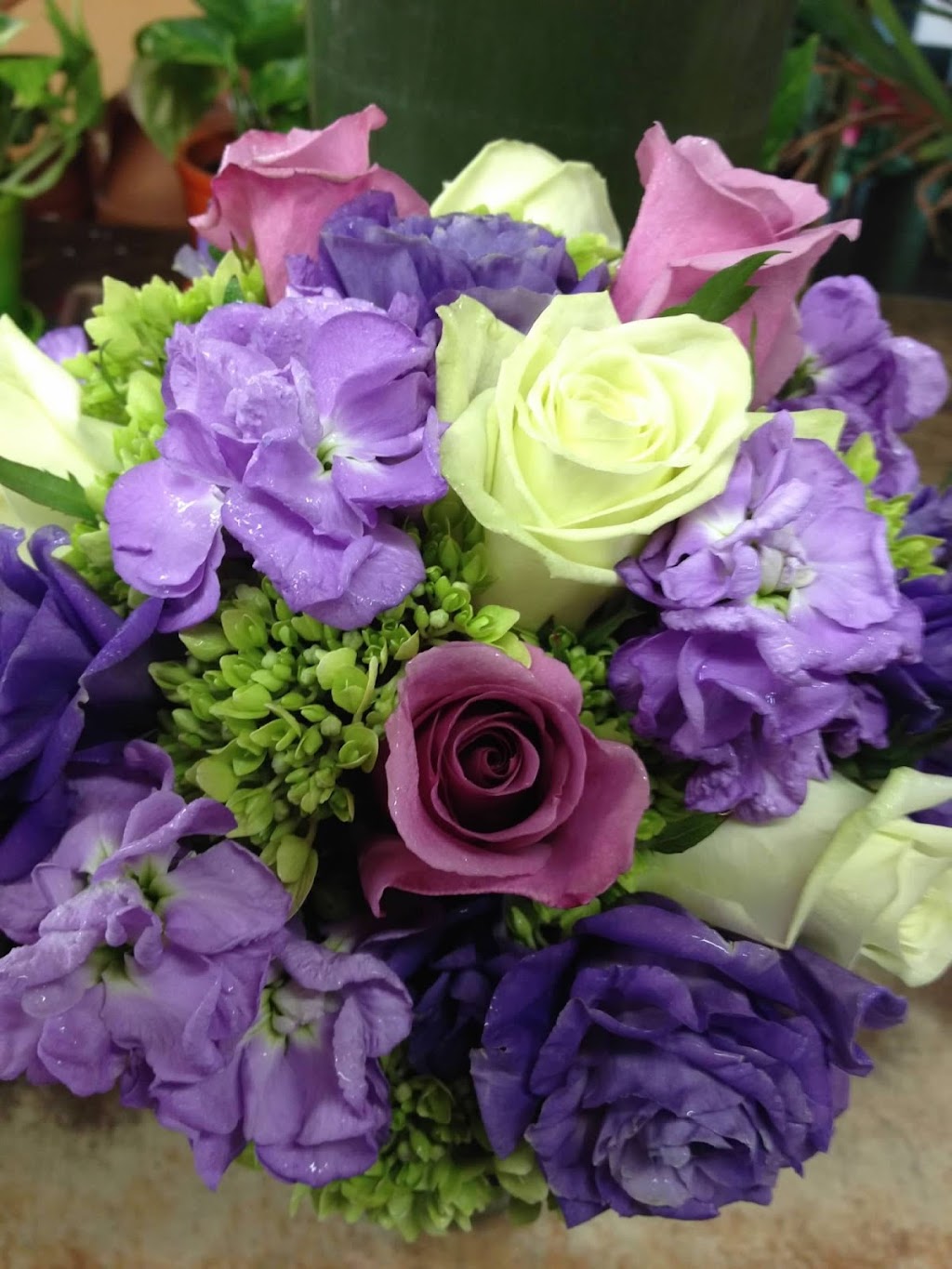 Wards Florist & Greenhouse | 53 Cabot St, Beverly, MA 01915, USA | Phone: (978) 922-0032