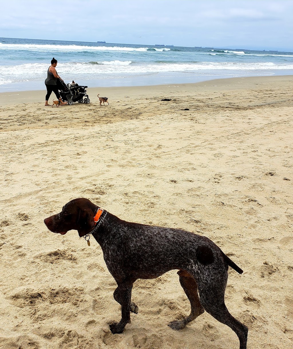 Dog Beach Bluff Top Parking Lot (North Lot) | Huntington Beach, CA 92648, USA | Phone: (714) 294-6013