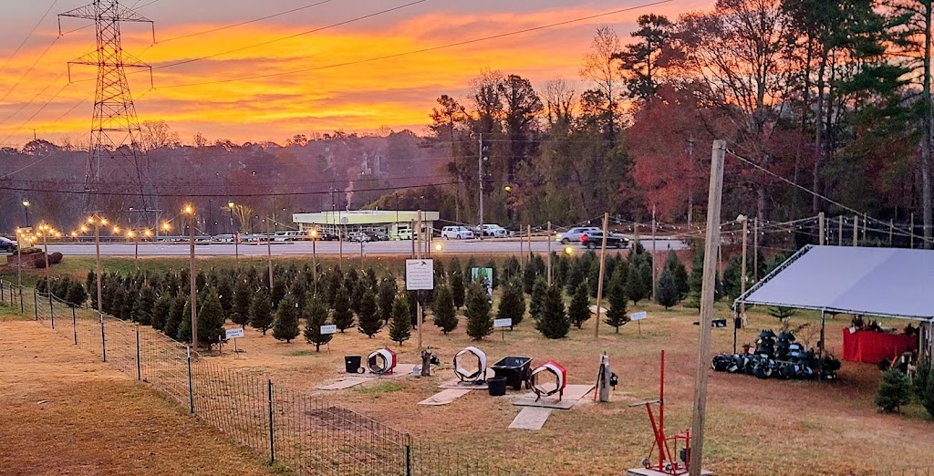 Christmas Trees | 7770 Roswell Rd, Sandy Springs, GA 30350, USA | Phone: (678) 250-6149