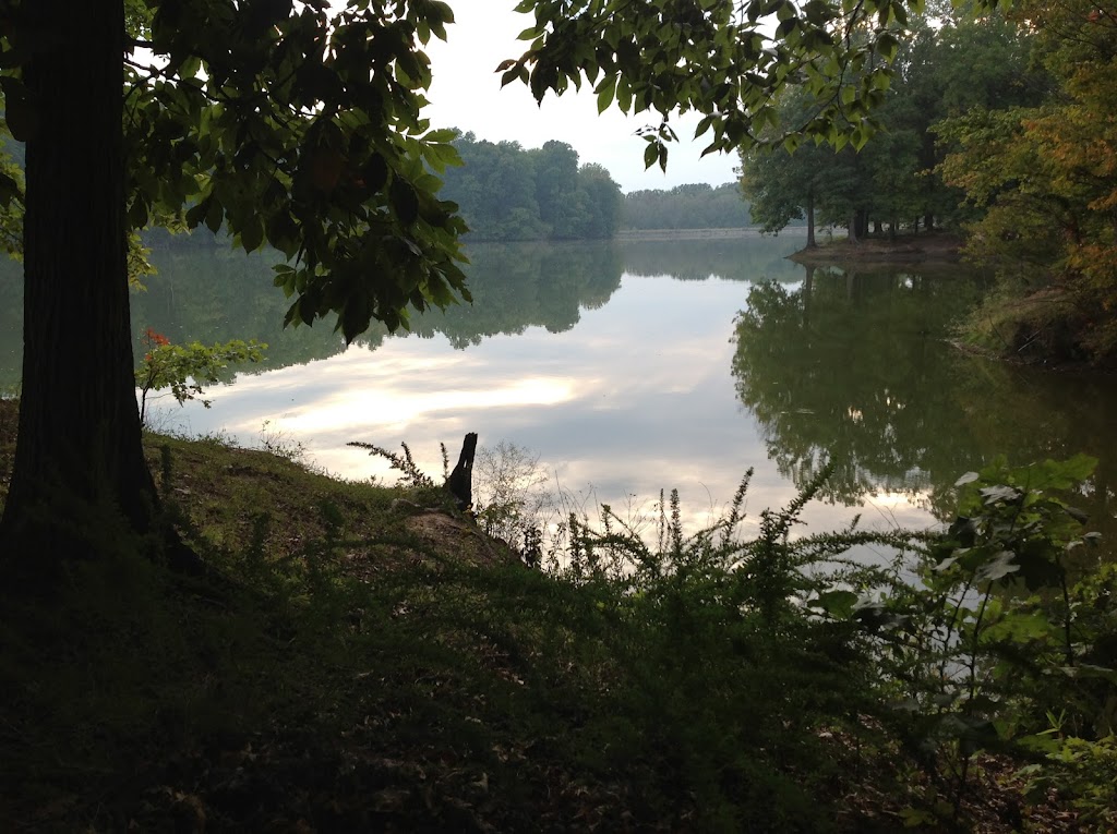 Meeman-Shelby Forest State Park Visitor Center | Meeman-Shelby State Park Visitor Center, 910 Riddick Rd, Millington, TN 38053, USA | Phone: (901) 876-5215