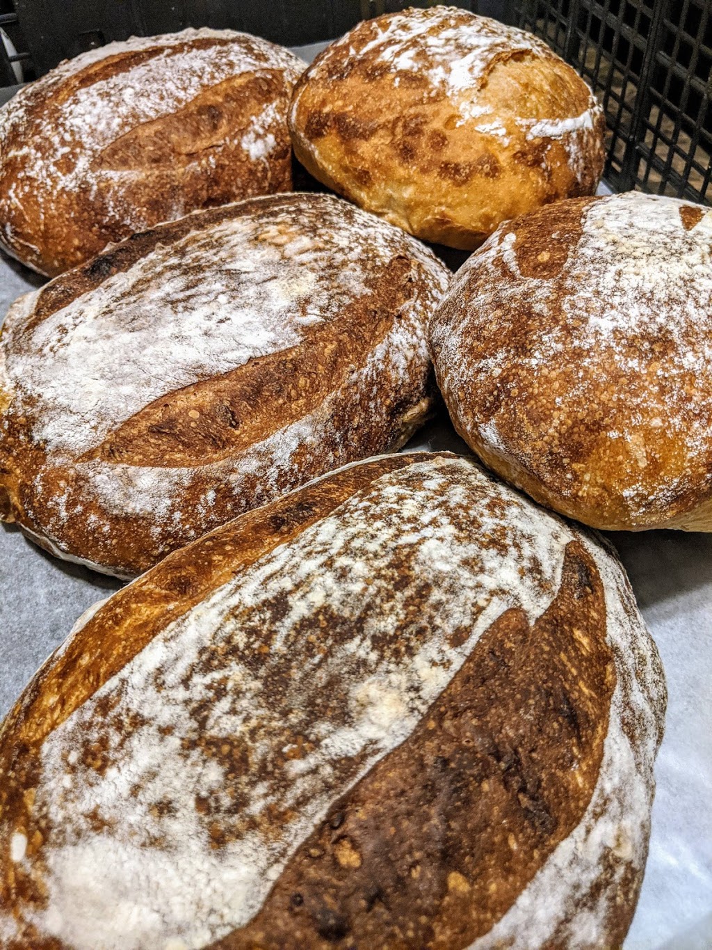 Baxters Wild sourdough & bakery | 5016 W Knights Griffin Rd, Plant City, FL 33565, USA | Phone: (813) 365-9915