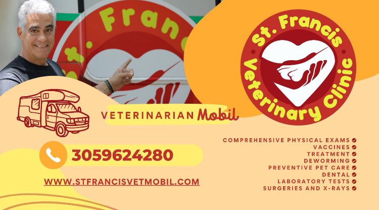 St Francis Vet Mobil | 11390 SW 87th Ave, Miami, FL 33176, USA | Phone: (305) 962-4280