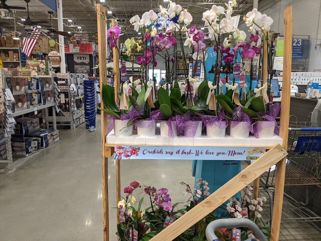 Lowes Garden Center | 955 Bullsboro Dr, Newnan, GA 30265, USA | Phone: (770) 304-1600