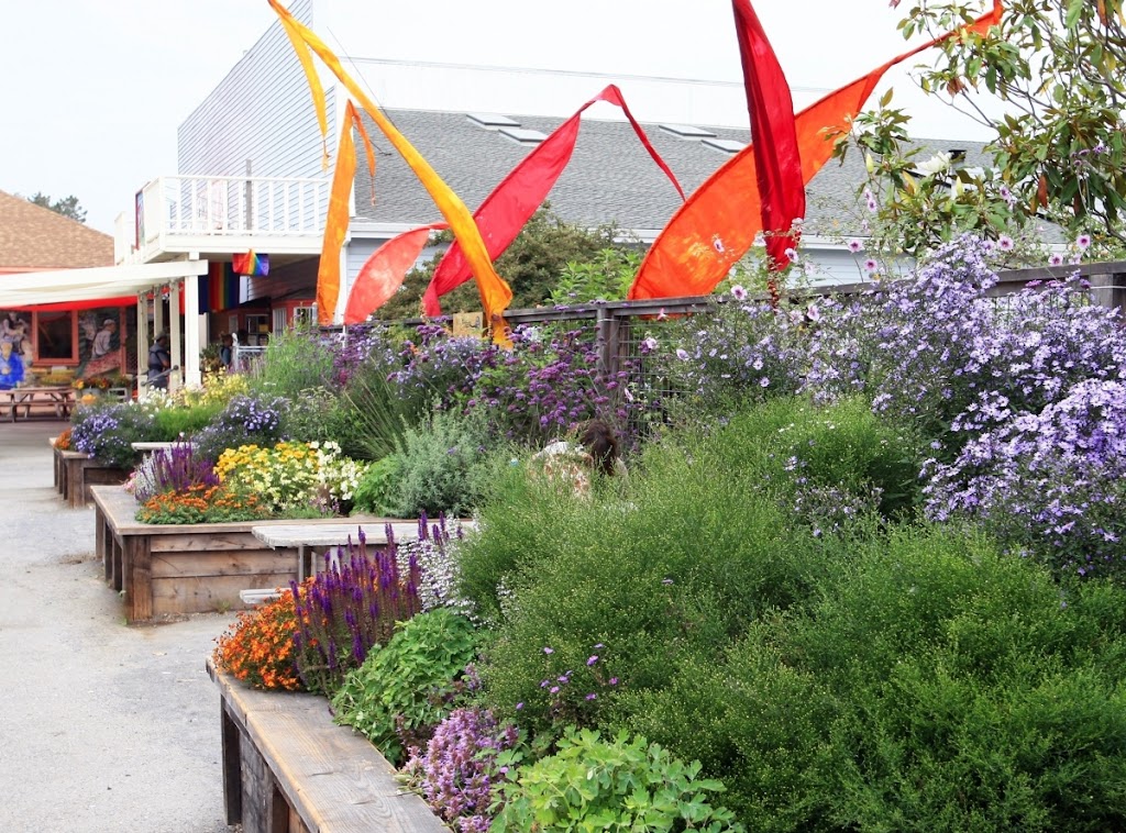 Rotary Club of West Marin Peace Garden | 11250 CA-1, Point Reyes Station, CA 94956, USA | Phone: (415) 868-1618