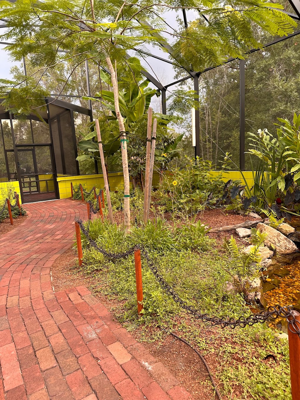 Zoey’s Butterfly House | 940 Bonnet Spgs Blvd, Lakeland, FL 33815, USA | Phone: (863) 732-7000