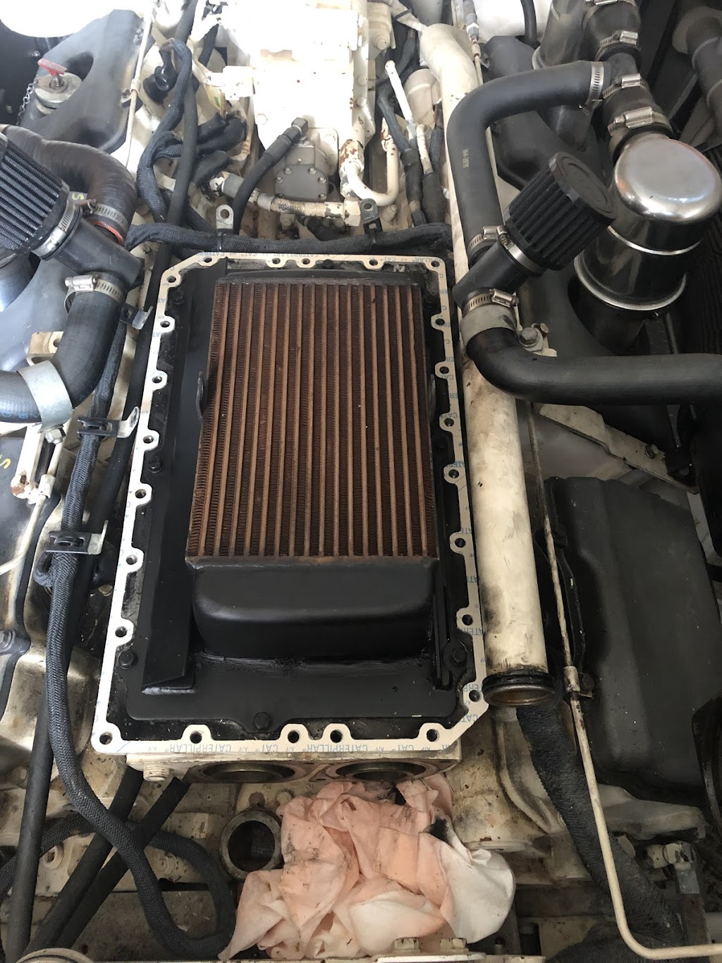 Salty Paws Charters and Marine Mechanical LLC | 6528 Walter Reed Dr, Gloucester, VA 23061, USA | Phone: (804) 832-7382