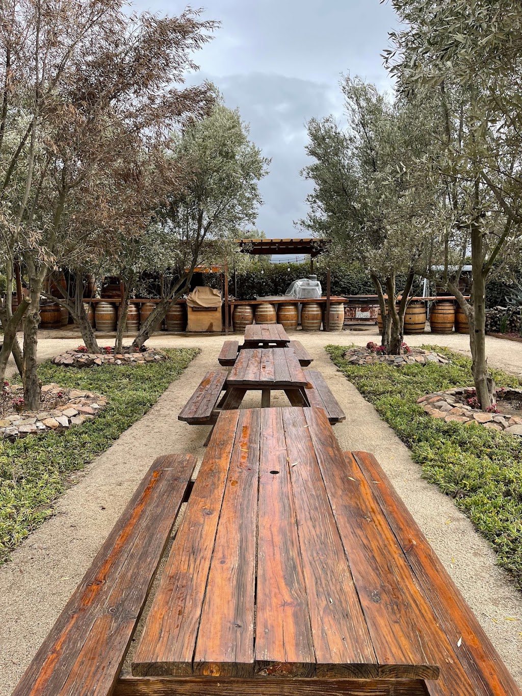 El Cielo Bodega Vinícola | Carretera Guadalupe - El Tigre Parcela 118, Km. 7.5 Valle de Guadalupe Valle de Guadalupe, 22755 Ensenada, B.C., Mexico | Phone: 646 151 6515