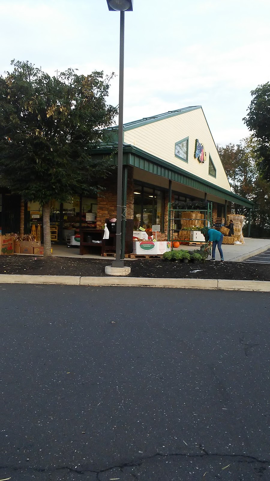 Produce Junction | 200 Bethlehem Pike, Colmar, PA 18915, USA | Phone: (215) 997-0995