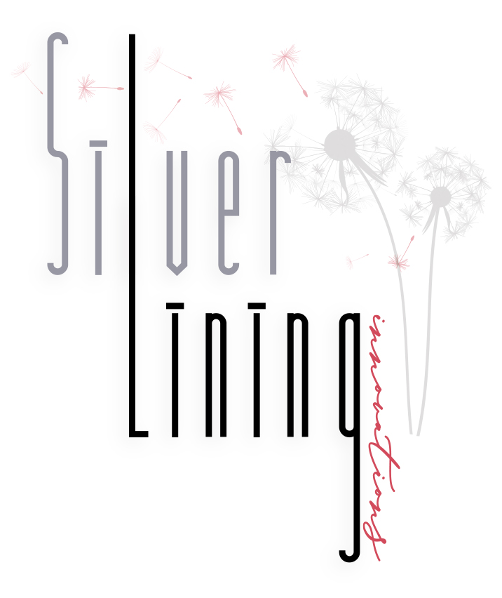 Silver Lining Innovations LLC | New Braunfels, TX 78130 | Phone: (608) 535-0637