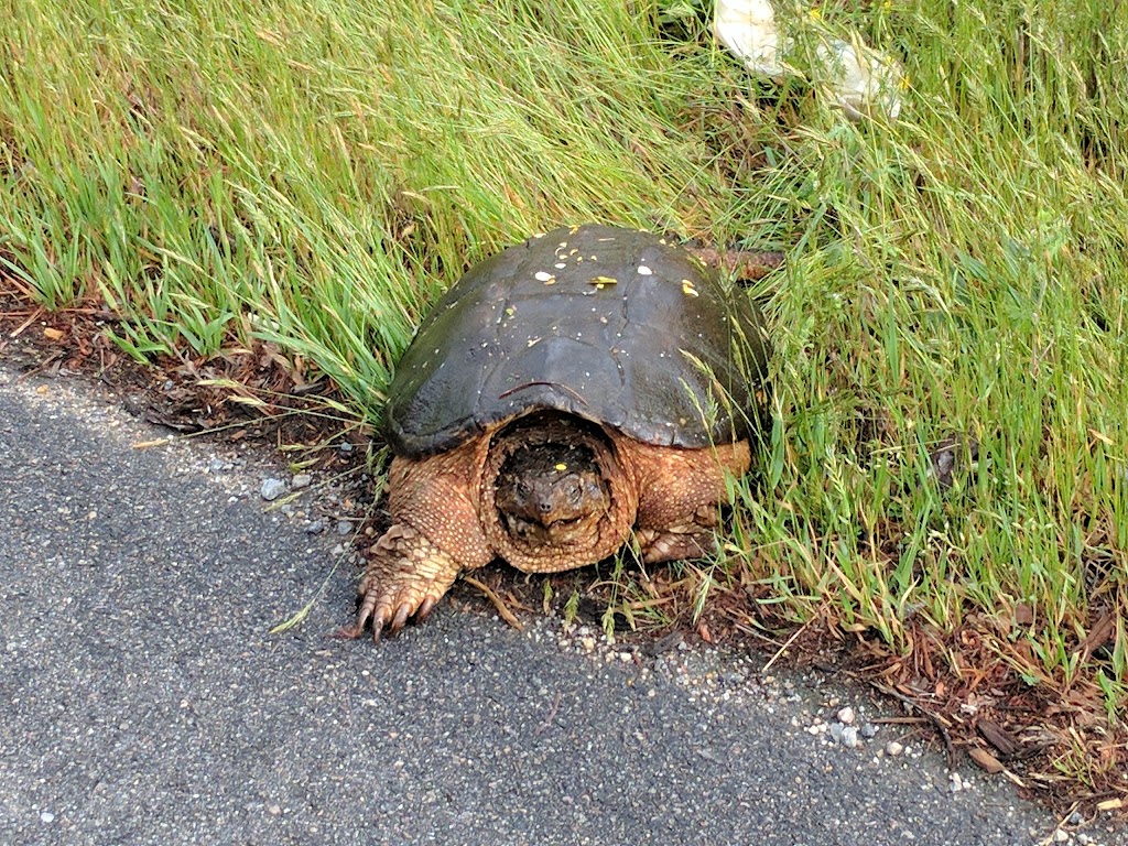 James River National Wildlife Refuge | 15910 Nobles Rd, Hopewell, VA 23860, USA | Phone: (804) 829-9020