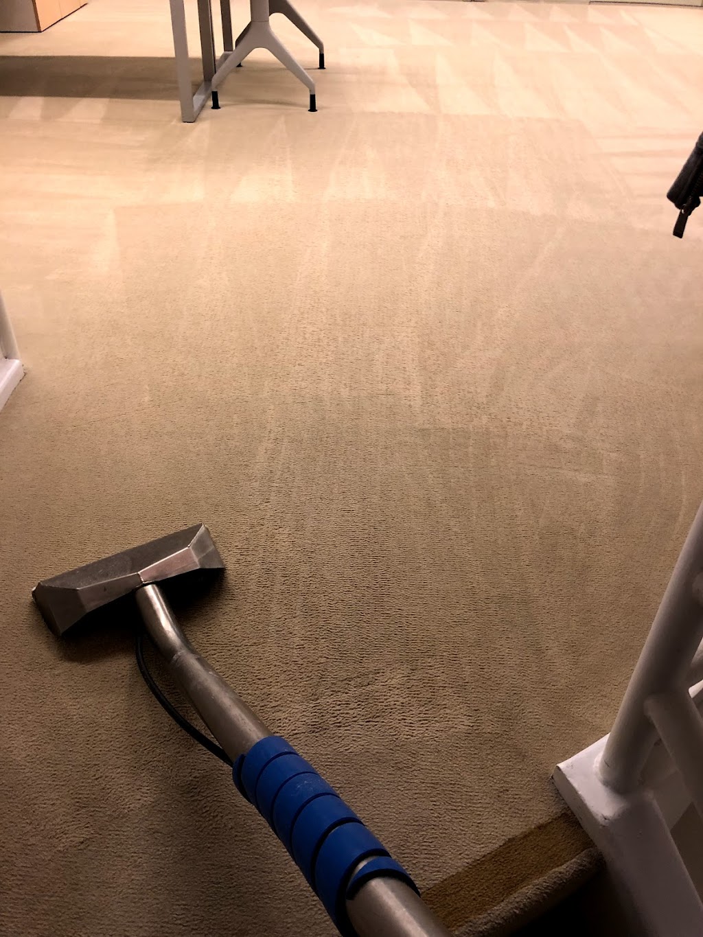 Master carpet cleaning | 400 Del Antico Ave #574, Oakley, CA 94561, USA | Phone: (925) 383-1358