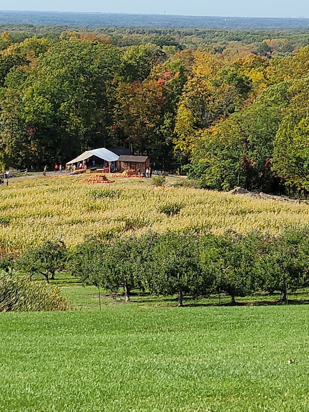 Mapleside Farms | 294 Pearl Rd, Brunswick, OH 44212, USA | Phone: (330) 225-5577