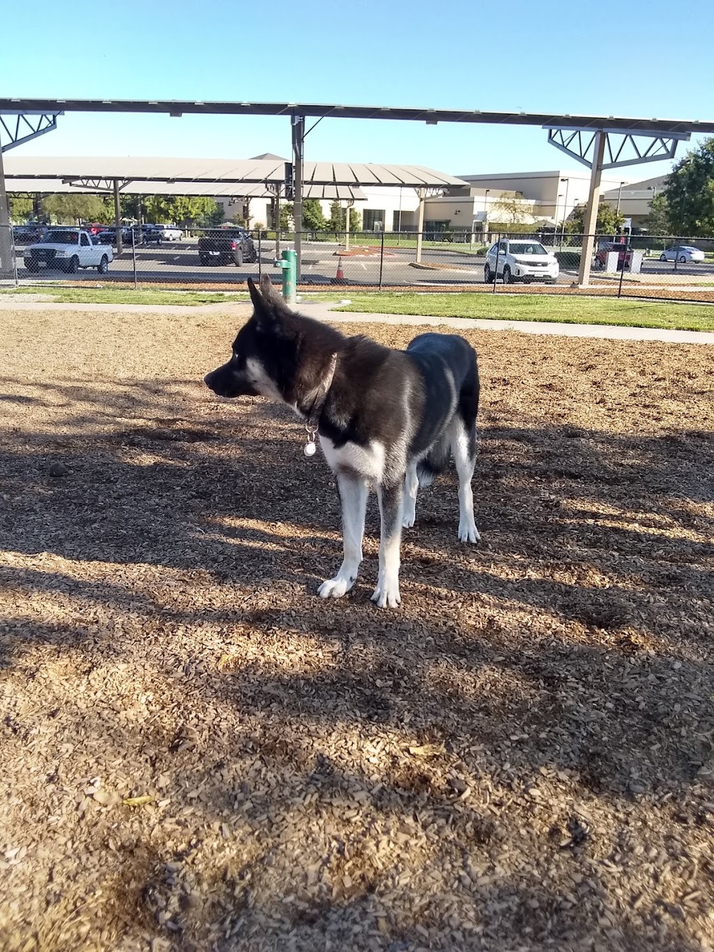 Woodland Off Leash Dog Park | 2001 East St, Woodland, CA 95776, USA | Phone: (530) 661-2000