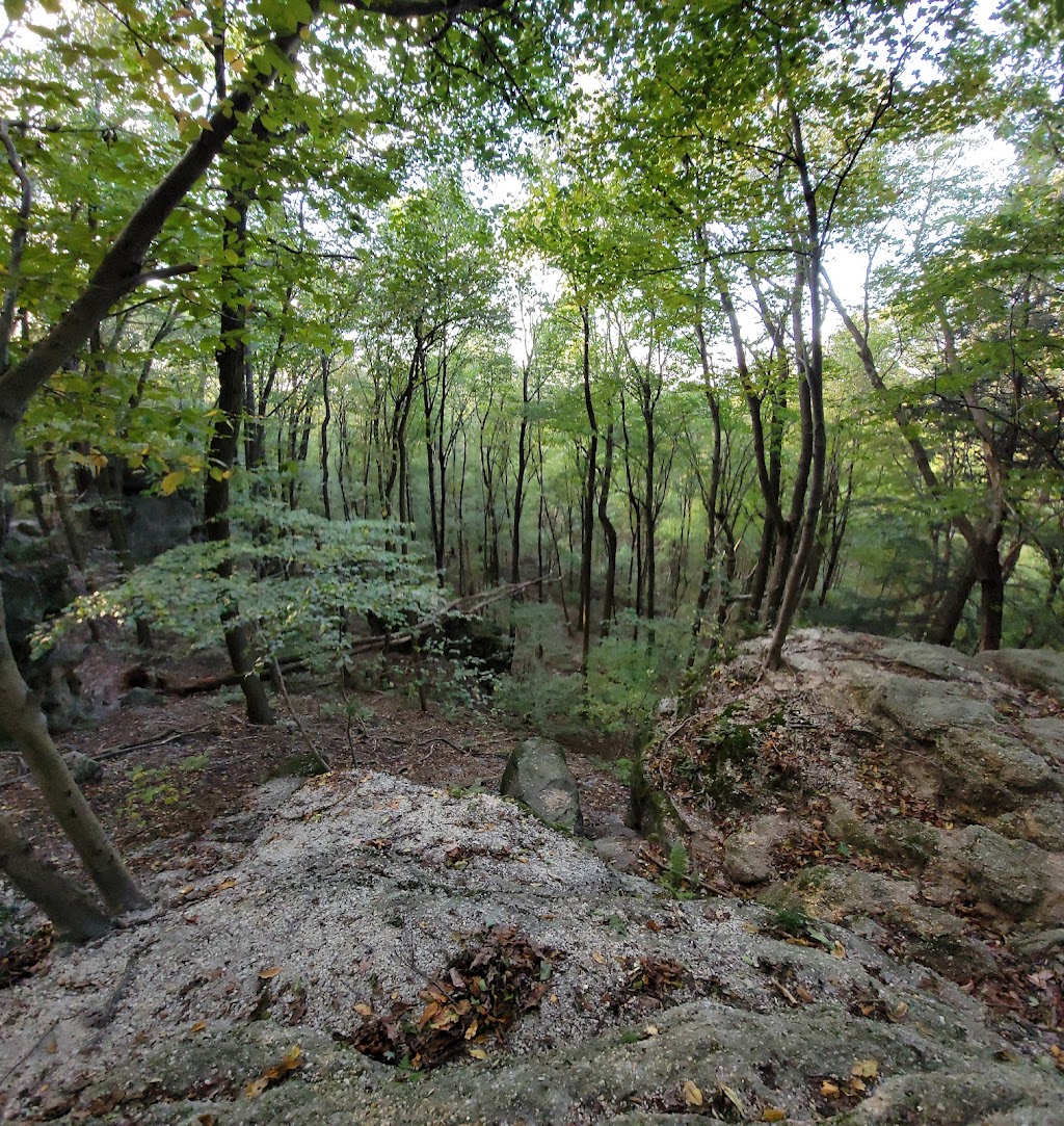 Lucky stone trail | Chapin Forest, Kirtland, OH 44094, USA | Phone: (440) 256-3810