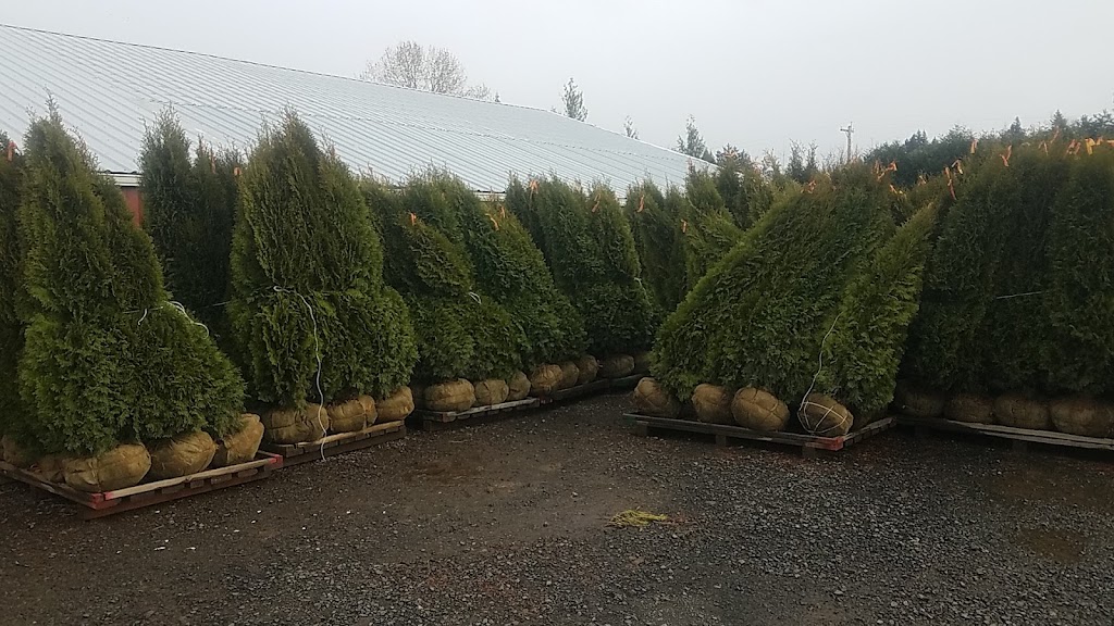 Granstrom Evergreens, L.L.C. | 28745 SE Division Dr, Troutdale, OR 97060, USA | Phone: (503) 666-7896