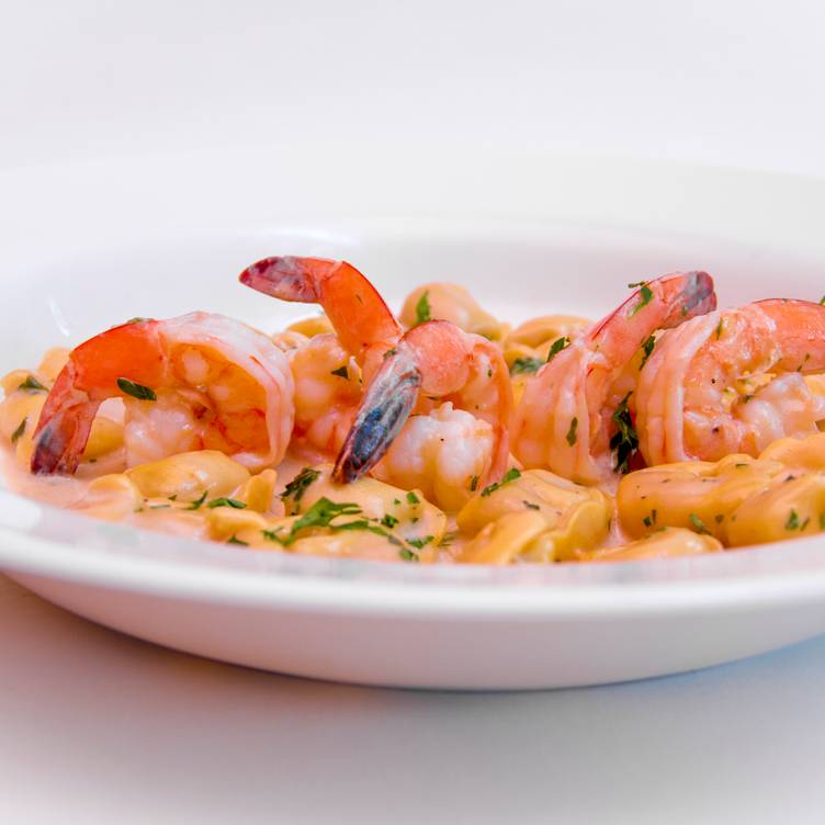 Cinque Terre Italian Restaurant | 7750 Nova Dr, Davie, FL 33324, USA | Phone: (954) 368-3633