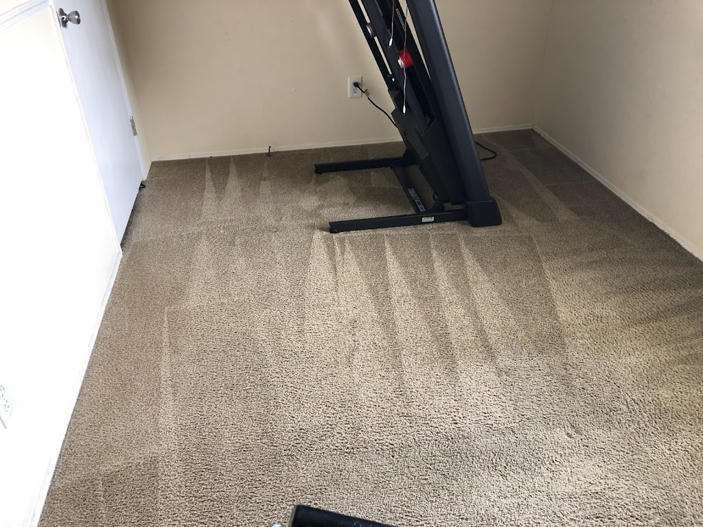 Palmetto Bay Carpet Cleaning & Water Damage Service | 20628 SW 91st Ct, Cutler Bay, FL 33189, USA | Phone: (305) 699-2655