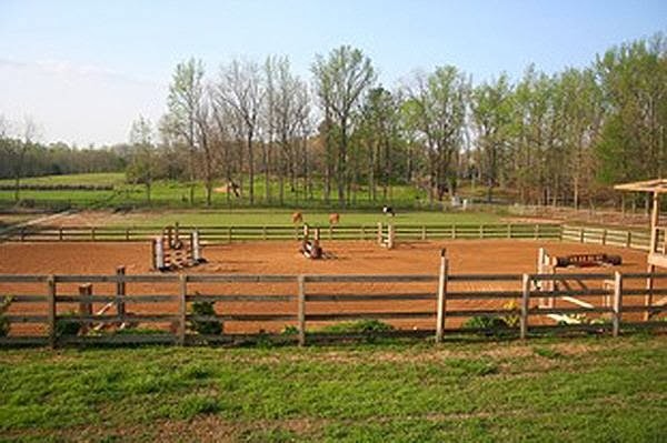 Trinity Farm | 10365 Monroe Rd, Lakeland, TN 38002, USA | Phone: (901) 301-3932