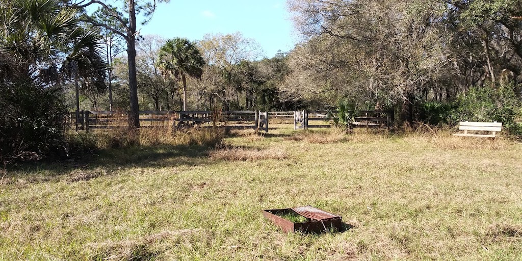 Myakka River State Park Horse Camp | Sarasota, FL 34241, USA | Phone: (941) 361-6515