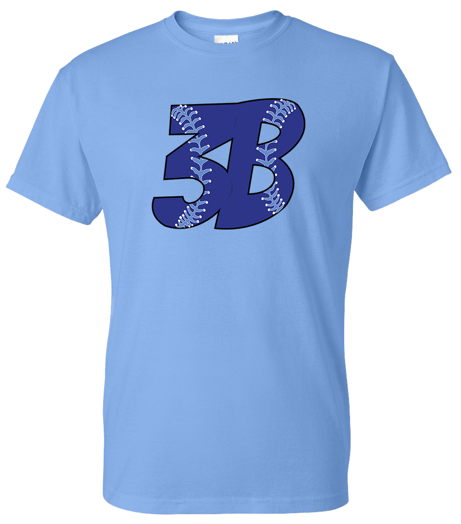 Building Block Baseball | 2040 W State St, New Castle, PA 16101, USA | Phone: (724) 714-1941