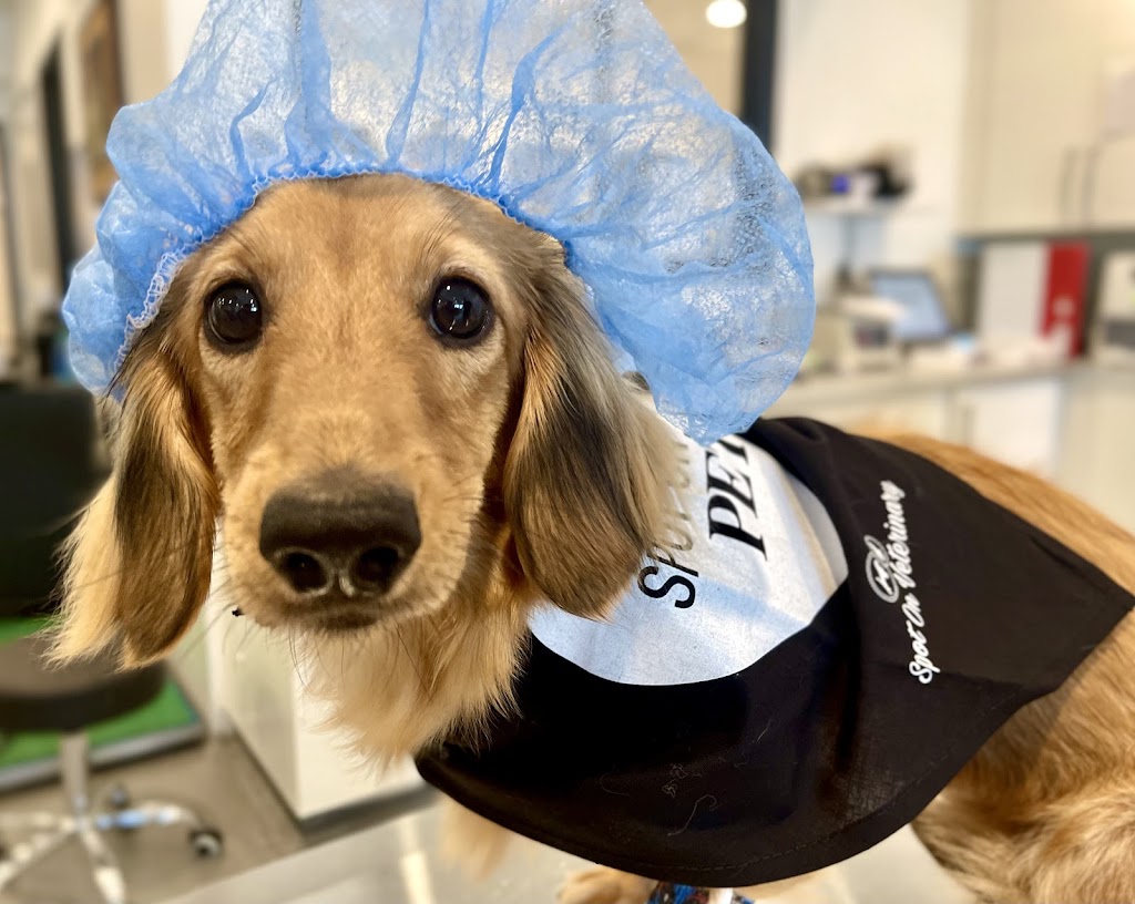 The Spot Costa Mesa | 1651 Placentia Ave, Costa Mesa, CA 92627, USA | Phone: (949) 891-4604