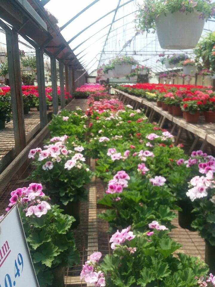 Iannettis Garden Center | 728 Steubenville Pike, Burgettstown, PA 15021, USA | Phone: (724) 729-3500