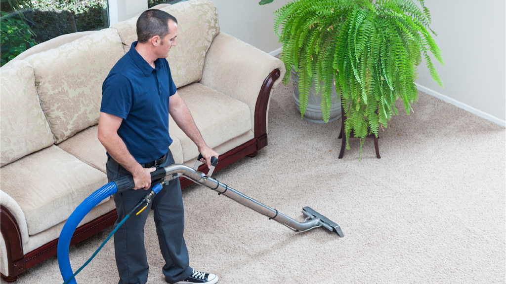 Blujay® | Carpet Cleaning On Demand | 2031 Catalpa Ave, Cincinnati, OH 45239, USA | Phone: (513) 614-1852