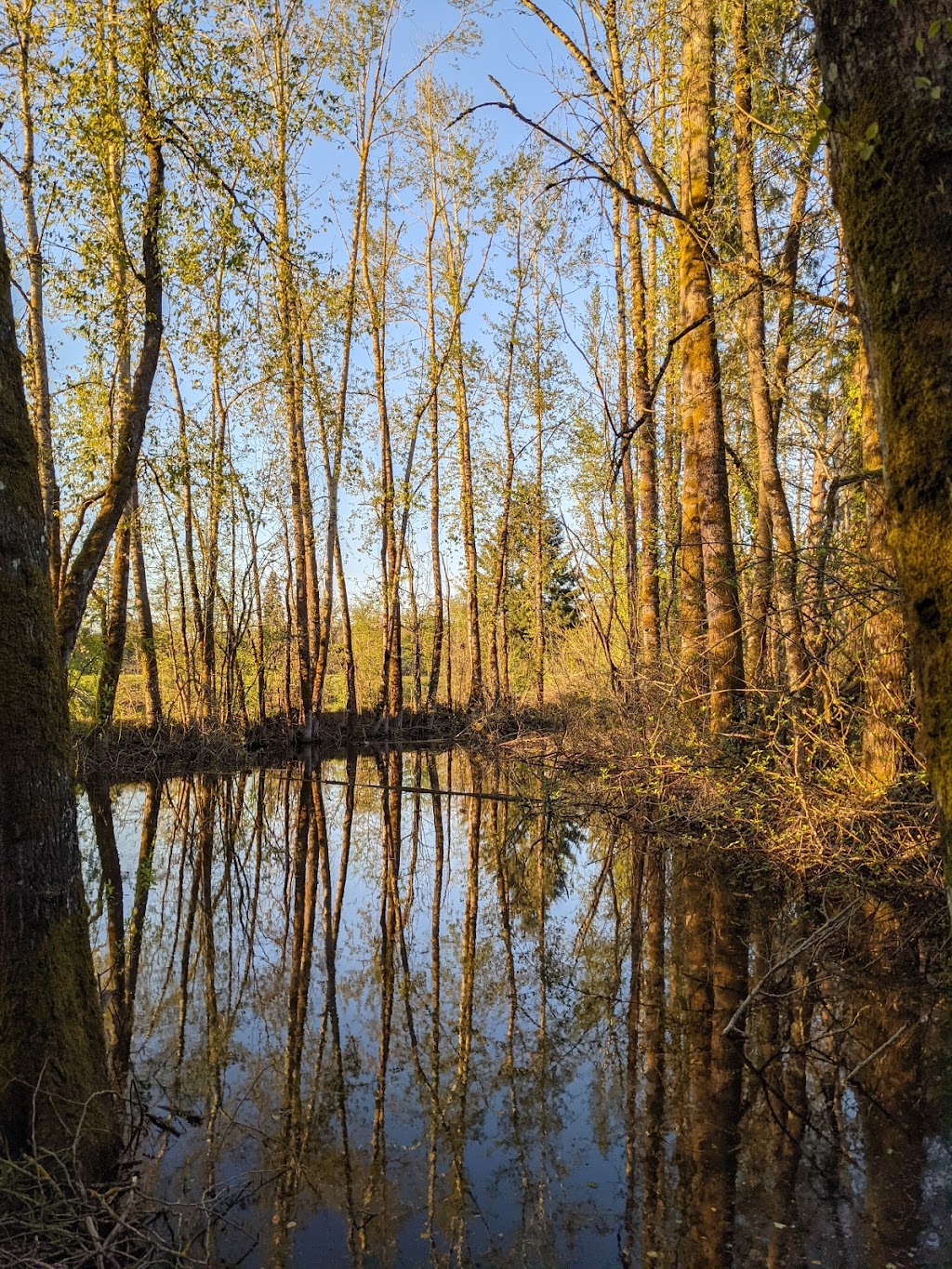 Molalla River State Park | Molalla River State Park, Canby, OR 97013 | Phone: (800) 551-6949