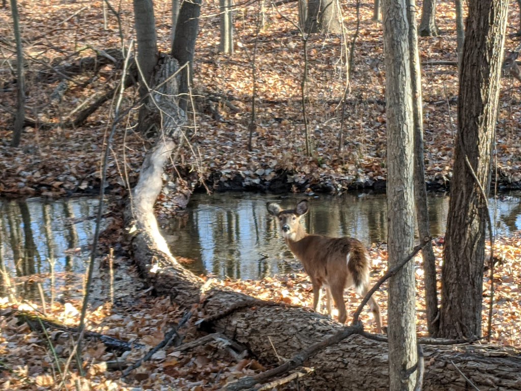 River Bends Park | 5700 22 Mile Rd, Shelby Township, MI 48317, USA | Phone: (586) 731-0300