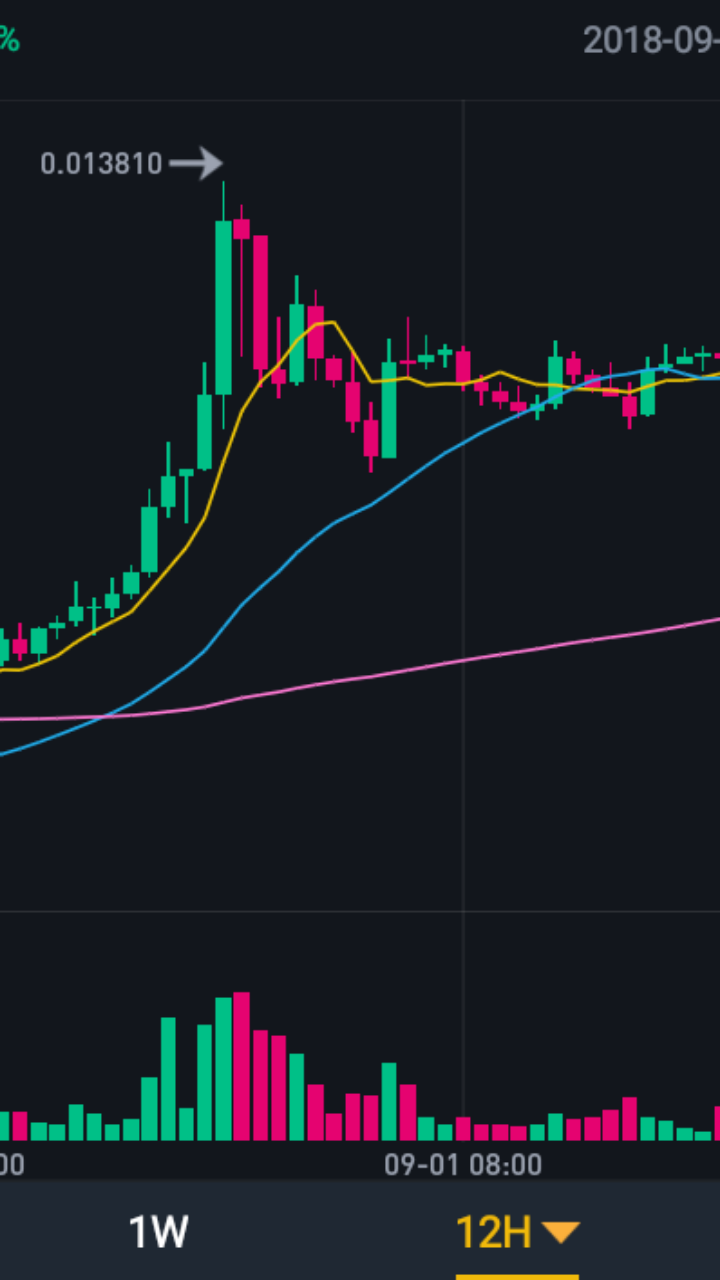 Gulf Nexus | 2373 Hidden Lake Dr, Palm Harbor, FL 34683, USA | Phone: (727) 485-3516