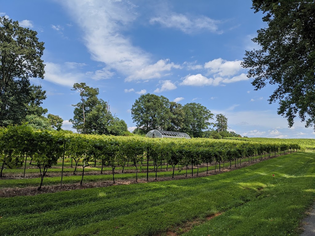 Sanders Ridge Vineyard & Winery | 3200 Round Hill Rd, Boonville, NC 27011, USA | Phone: (336) 677-1700