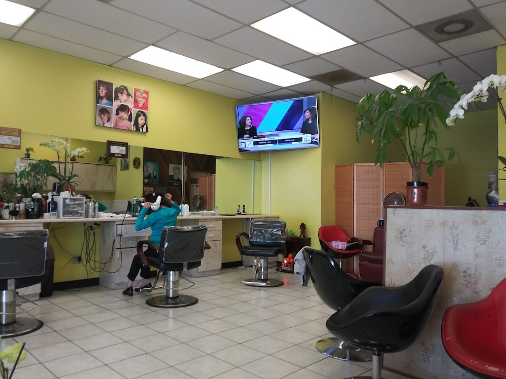 High Life Beauty Salon | 1611 Flickinger Ave, San Jose, CA 95131, USA | Phone: (408) 729-4921